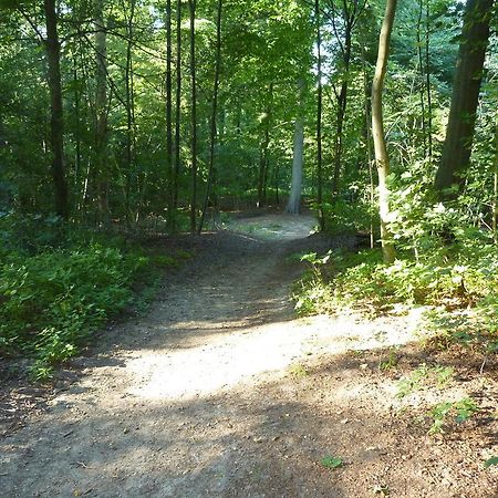 Ferienwohnung Am Steilen Waldweg Plön Exterior foto