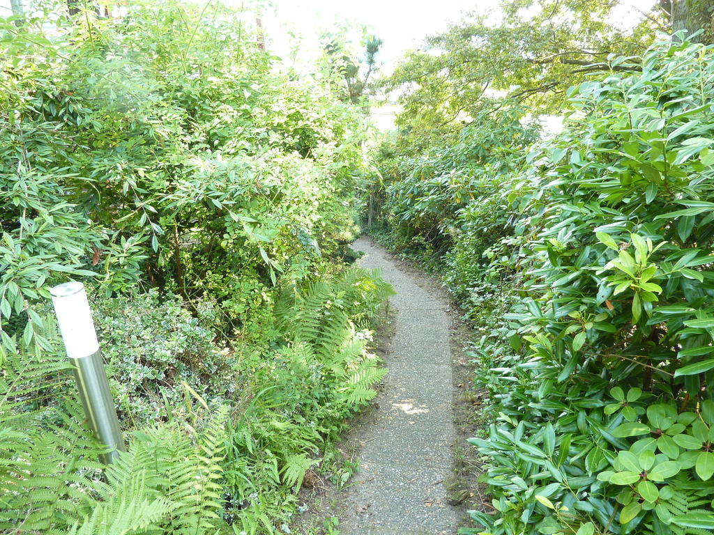 Ferienwohnung Am Steilen Waldweg Plön Exterior foto