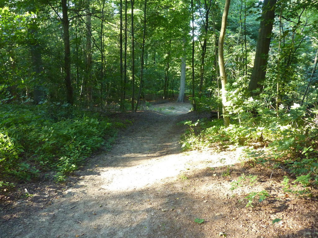 Ferienwohnung Am Steilen Waldweg Plön Exterior foto